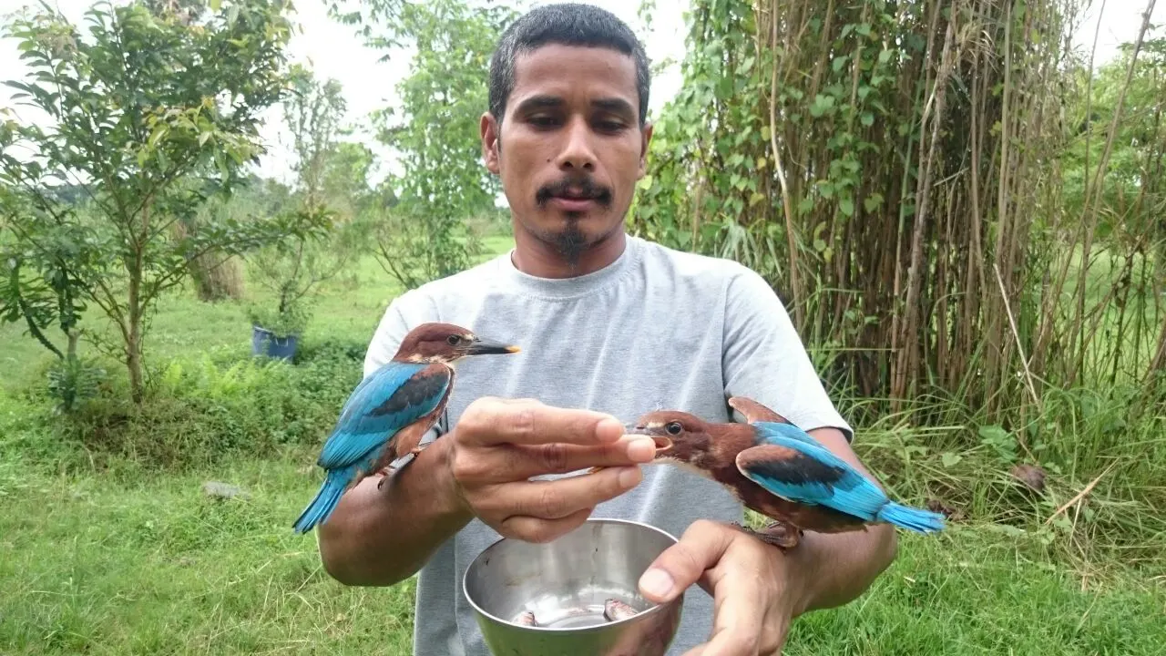 Guardian of the Wild Award
